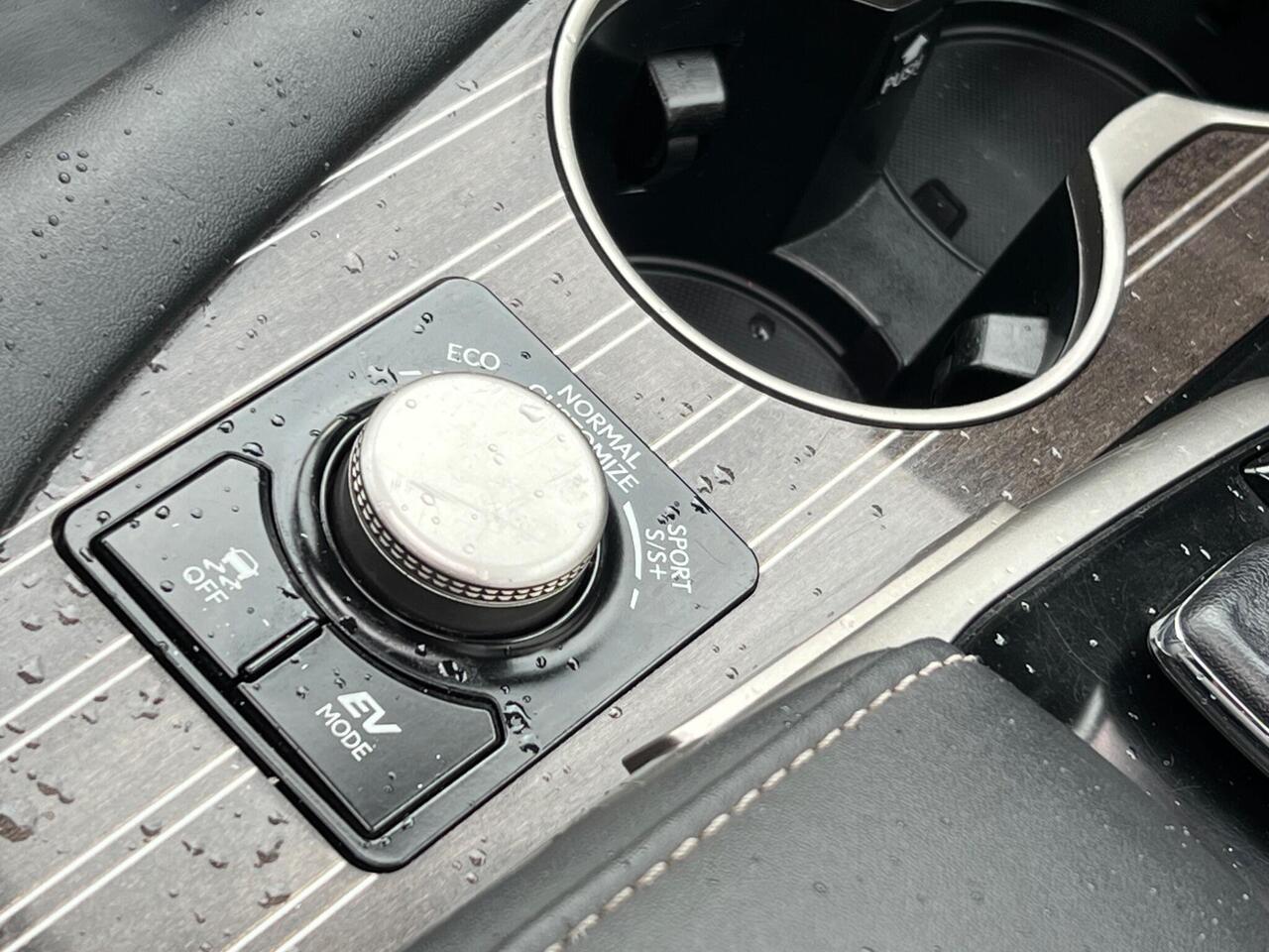 Used 2017 Lexus RX for sale in Sheffield